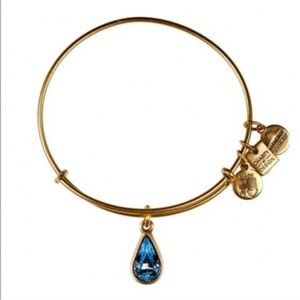 Alex and Ani Living Water Bracelet